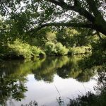 Tambre Golf el entorno II