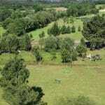 Tambre Golf soledado