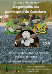 Cartel - Cogomelos da Gándara
